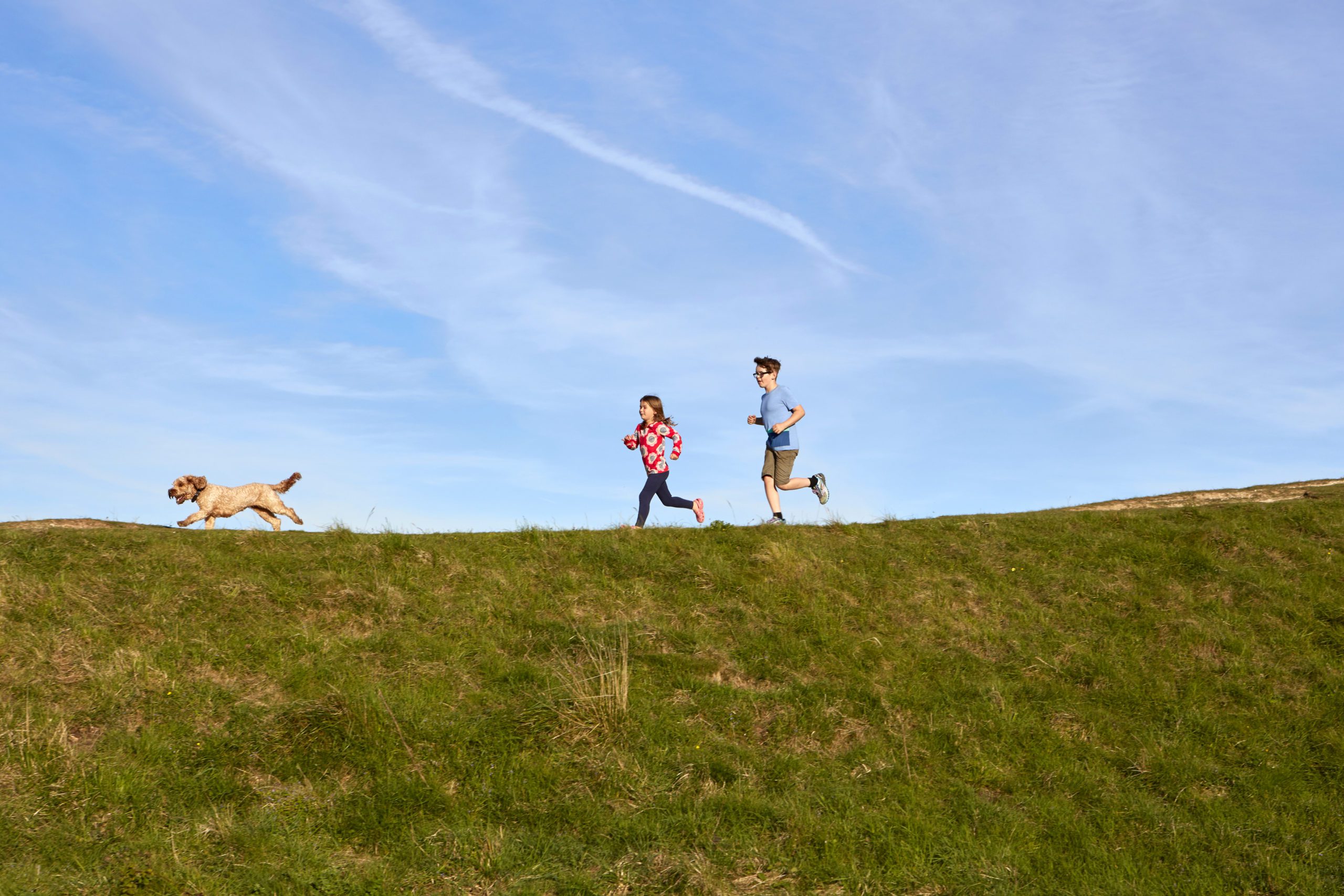 Kids and dog running in the South Downs National Park