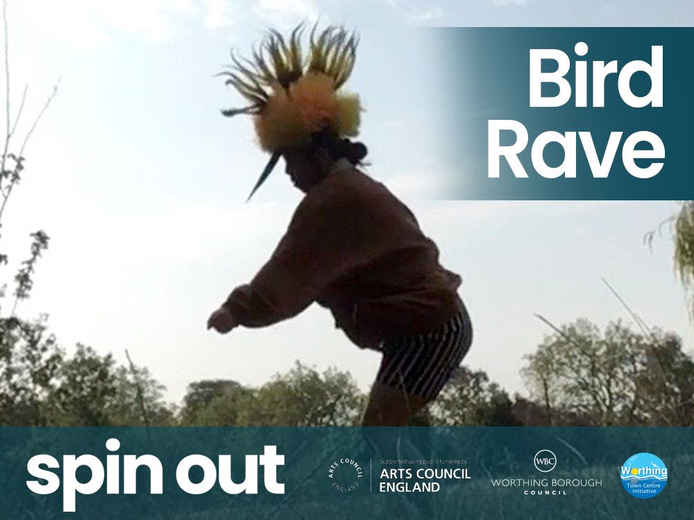 Birdhouse Rave Spin Out: Bird Rave - Time For Worthing